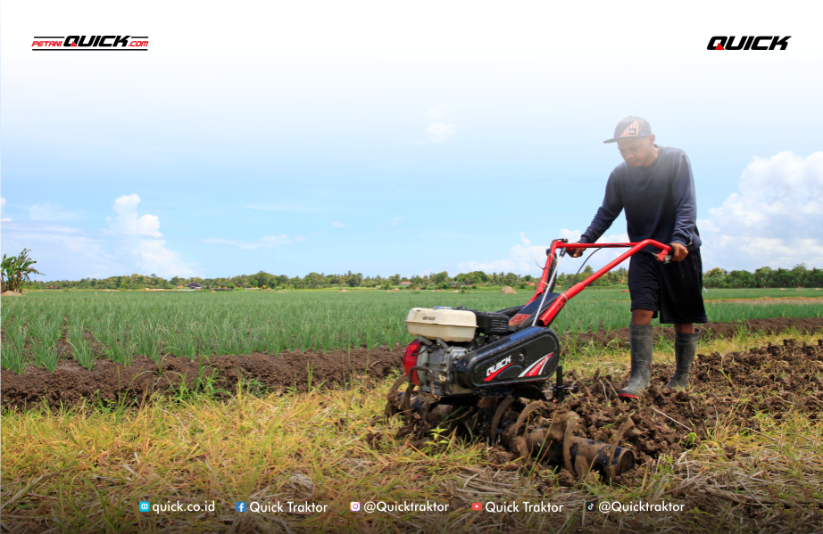 cakar baja membajak lahan cabai