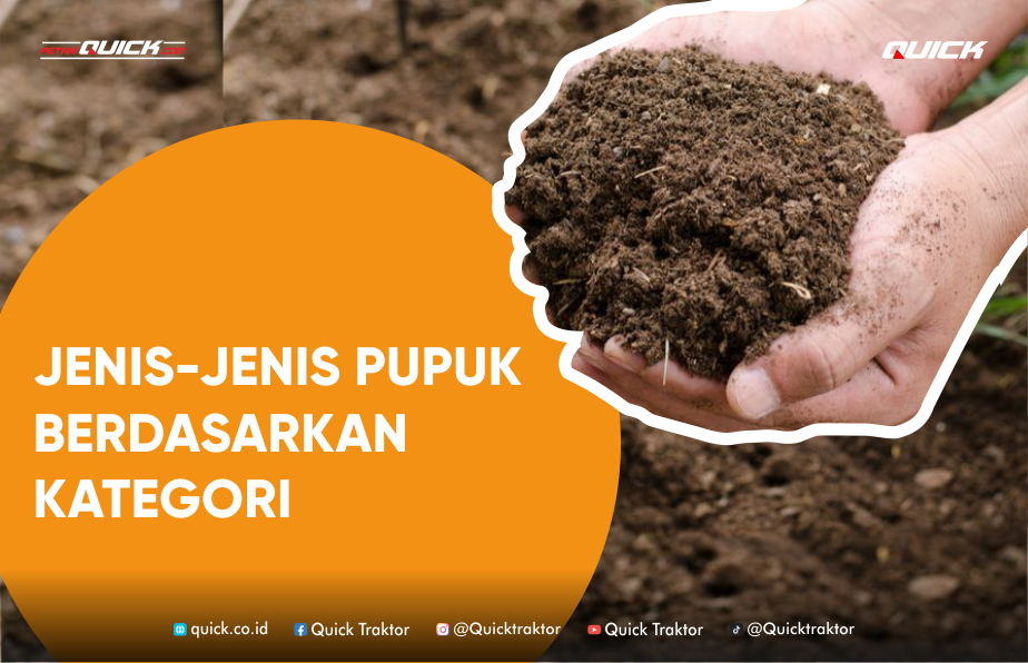 pembentukan pupuk organik dan anorganik
