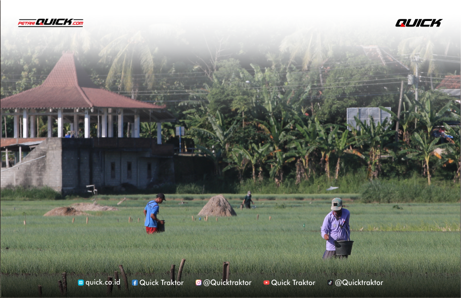 Mikroba Mikroorganisme Penyubur Tanah