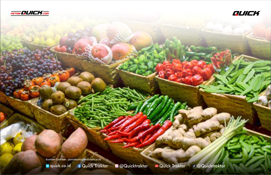 Sayur Organik Non Organik