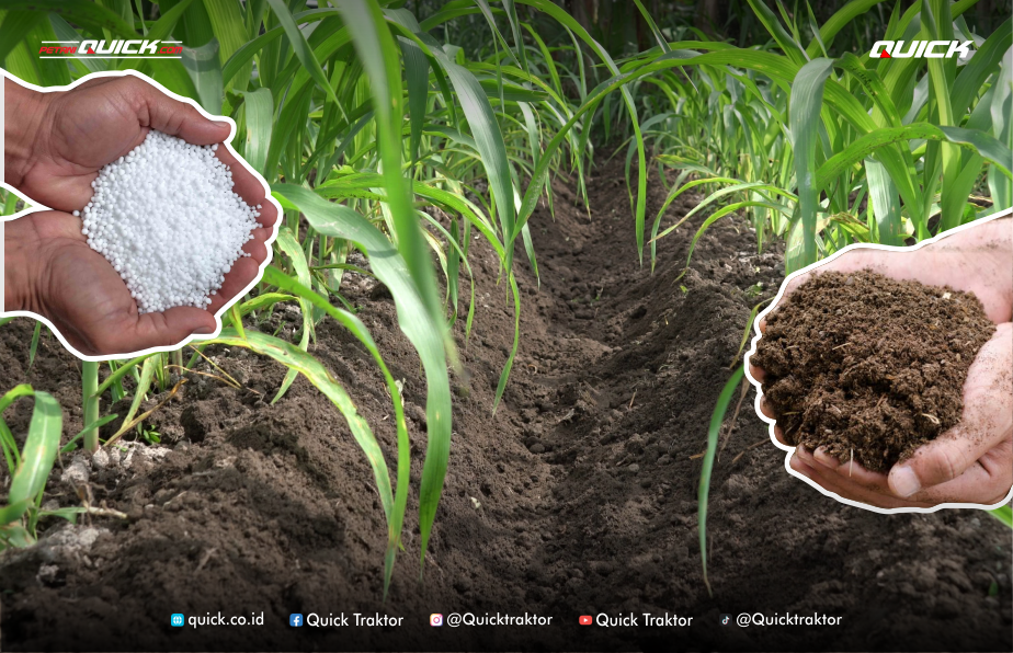 metode pemberian pupuk tanaman