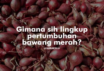 Lingkup Pertumbuhan Bawang Merah