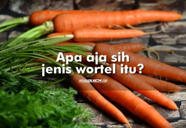 Jenis-Jenis Wortel