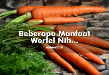 Beberapa Manfaat Wortel