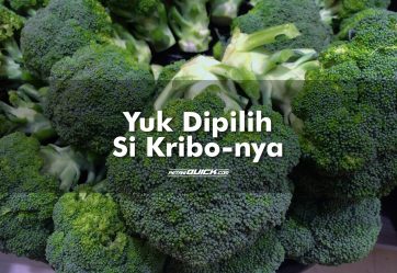 Cara Memilih dan Menyimpan Si Kribo