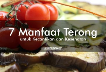 manfaat terong, terong