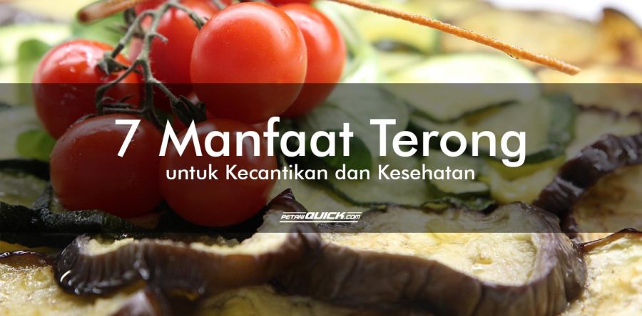 7 MANFAAT TERONG UNTUK KECANTIKAN DAN KESEHATAN
