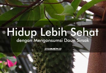 Hidup Lebih Sehat dengan Mengonsumsi Daun Sirsak