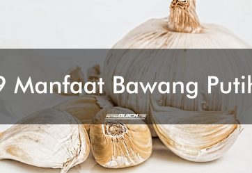 9 Manfaat Bawang Putih