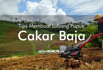 TIPS MEMBUAT LUBANG PUPUK