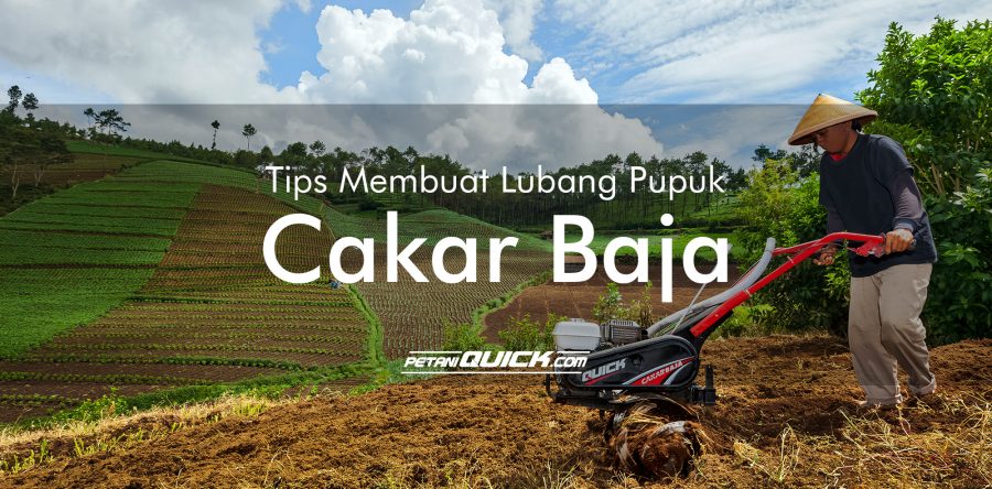 TIPS MEMBUAT LUBANG PUPUK