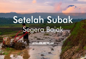 SETELAH SUBAK, SEGERA BAJAK!