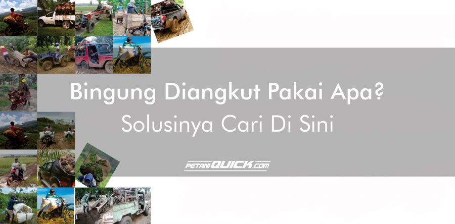 BINGUNG DIANGKUT PAKAI APA? CARI SOLUSINYA DI SINI