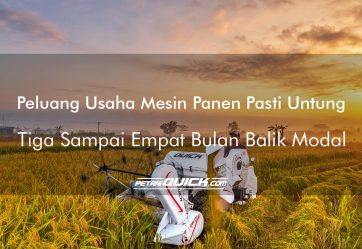 PELUANG USAHA MESIN PANEN PASTI UNTUNG, TIGA SAMPAI EMPAT BULAN BALIK MODAL