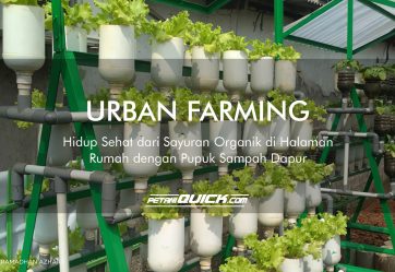 URBAN FARMING