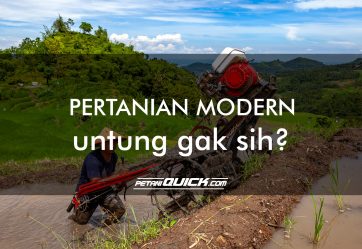 PERTANIAN MODERN ? UNTUNG GAK SIH