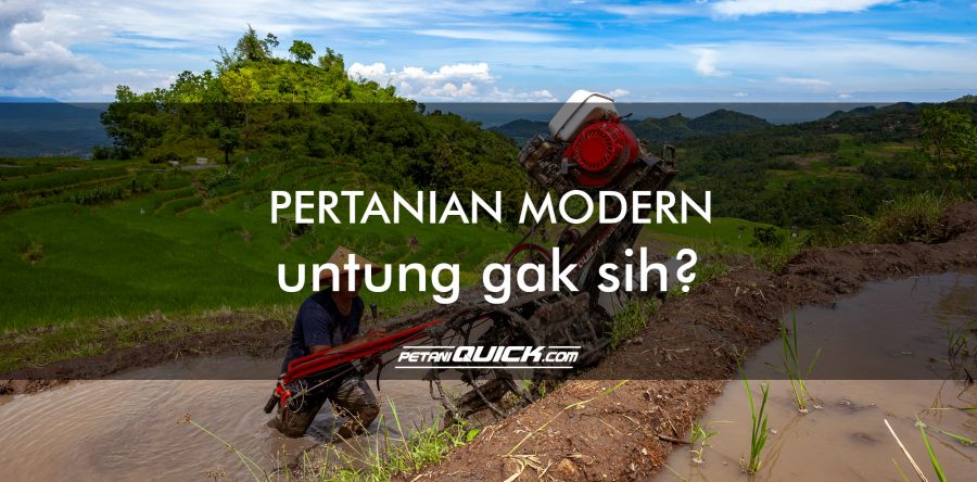 PERTANIAN MODERN ? UNTUNG GAK SIH