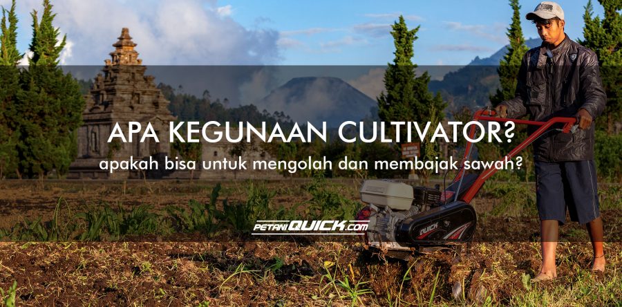 APA KEGUNAAN CULTIVATOR? APAKAH BISA UNTUK MENGOLAH DAN MEMBAJAK SAWAH?