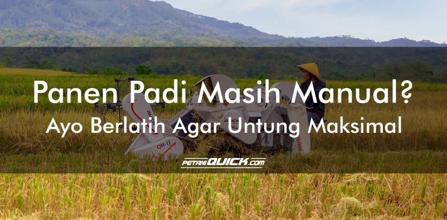 PANEN PADI MASIH MANUAL? AYO BERALIH AGAR UNTUNG MAKSIMAL