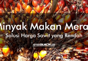 Minyak Makan Merah, Solusi Harga Sawit yang Rendah