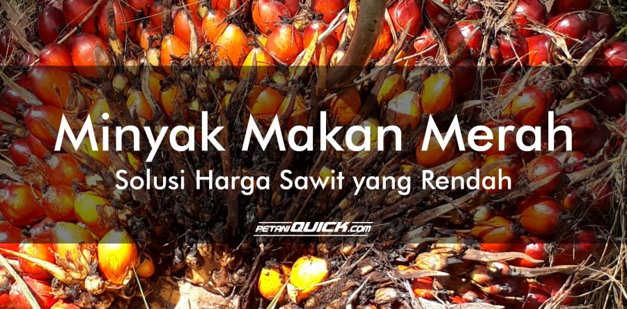 MINYAK MAKAN MERAH SOLUSI HARGA SAWIT YANG RENDAH