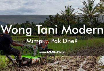 Wong Tani Modern, Mimpi… Pak Dhe?