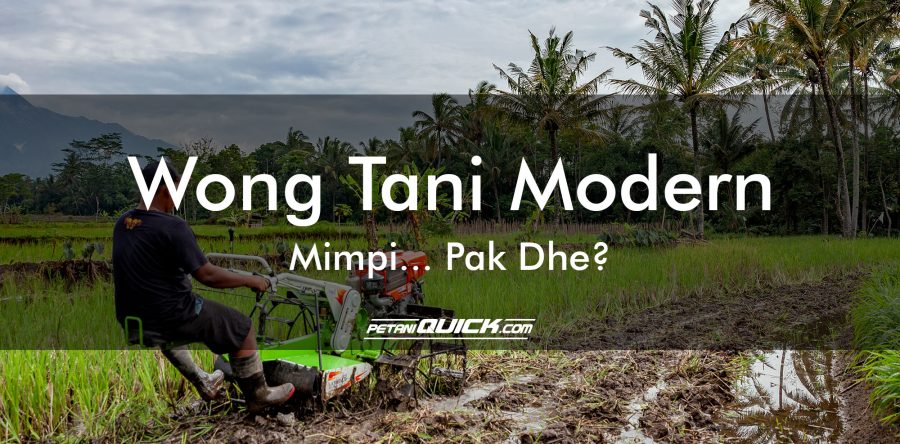 WONG TANI MODERN, MIMPI… PAK DHE?