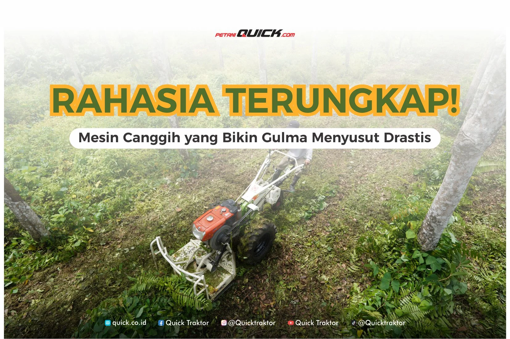 RAHASIA TERUNGKAP! Mesin Canggih yang Bikin Gulma Menyusut Drastis