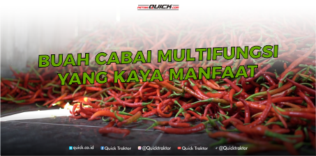 7 Manfaat Cabai Yang Kaya akan Manfaat