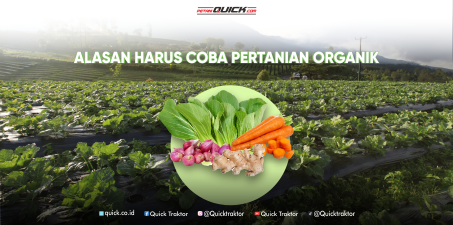 Alasan Anda Harus Coba Pertanian Organik