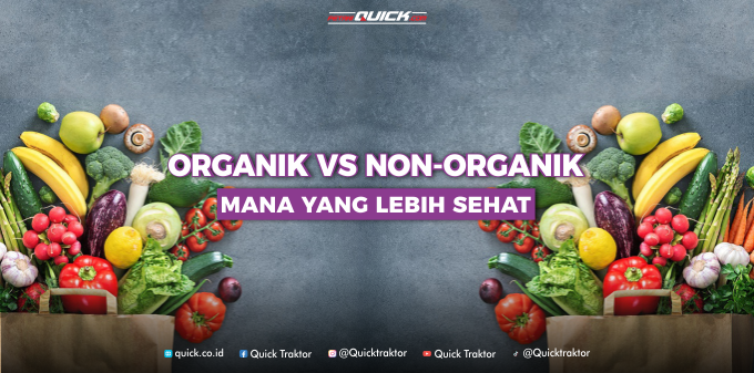 Sayur Organik vs Non-Organik Mana yang Lebih Sehat