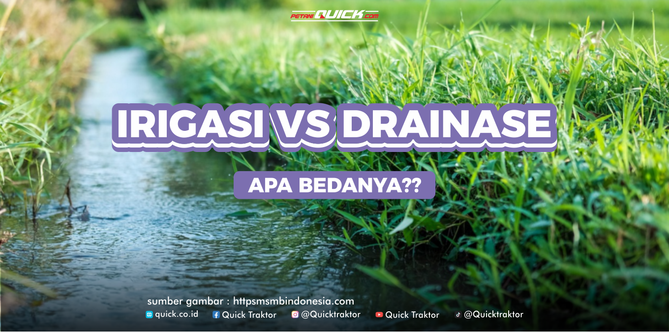 Irigasi vs Drainase Apa Bedanya?