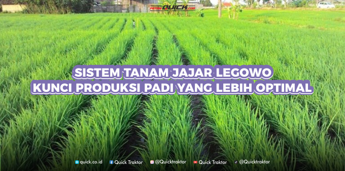 Sistem Tanam Jajar Legowo