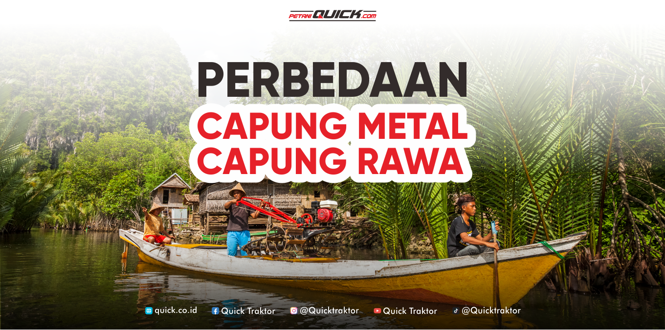 Quick Capung Metal dan Quick Capung Rawa!