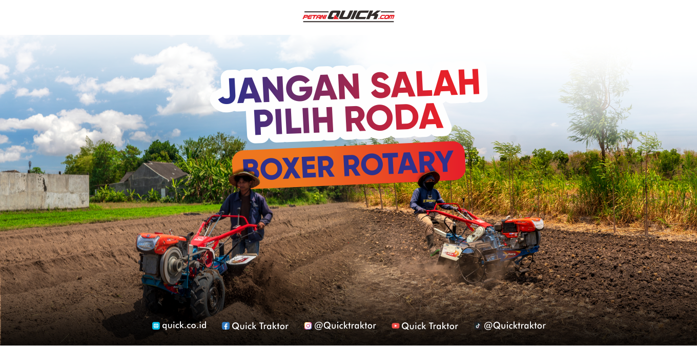 boxer rotary