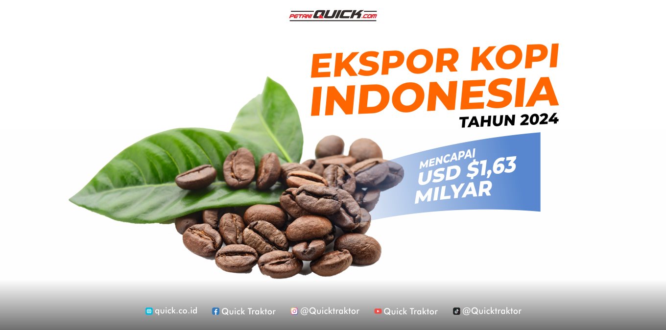 ekspor kopi