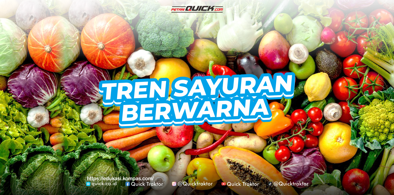 Tren Sayuran Berwarna