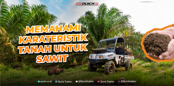 Karakteristik Tanah Ideal Untuk Kelapa Sawit