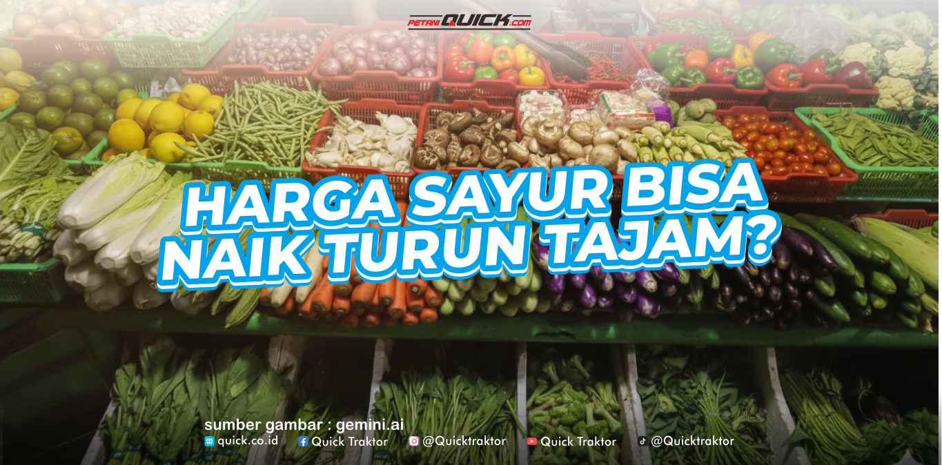 Kenapa Harga Sayur Bisa Naik Turun Tajam?