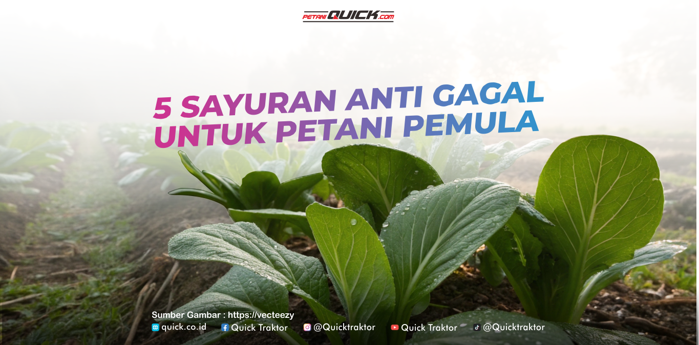 5 sayuran anti manja