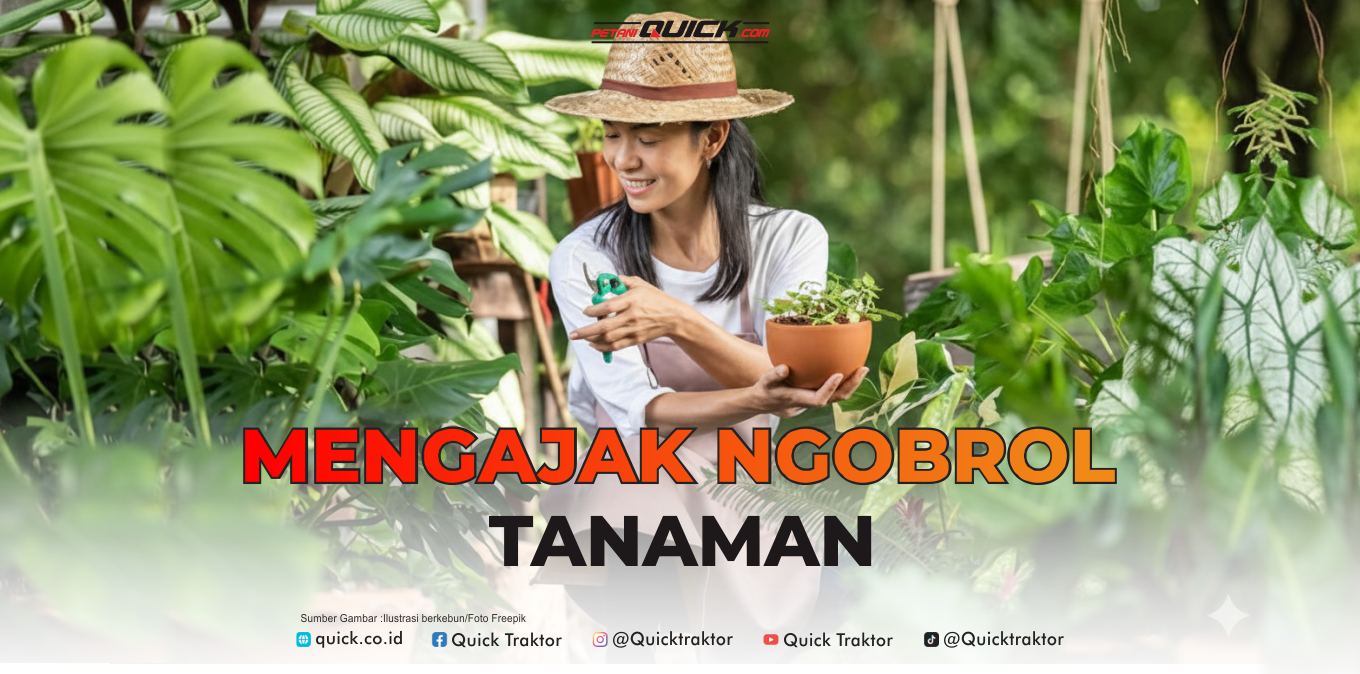 Ngobrol Tanaman Bisa Bikin Cepat Tumbuh?