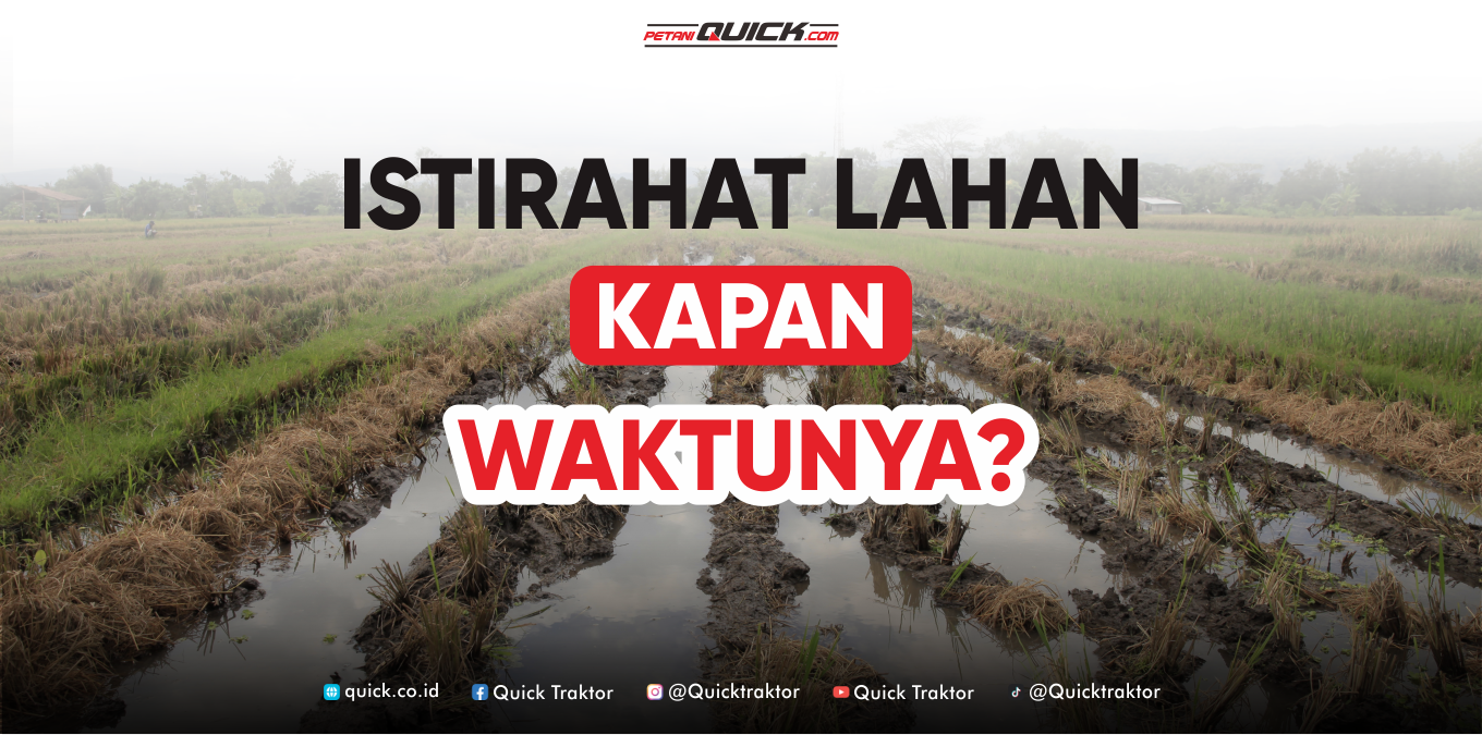 Istirahat Lahan Kapan Perlu dan Kapan Tidak?
