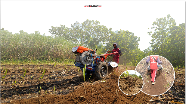 Petani Tebu Mulai Meninggalkan Tradisi PKP Sempit?
